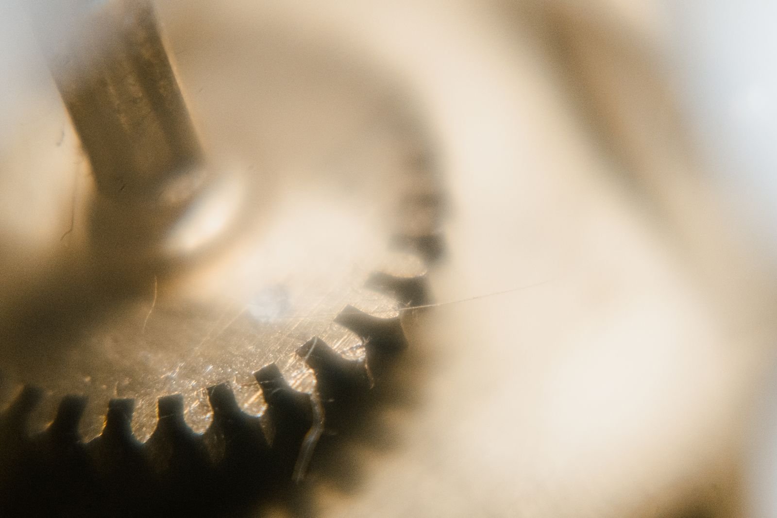 Macro view of a precision watch gear inspected after servicing